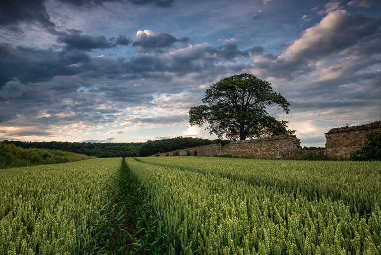 Landscapes
