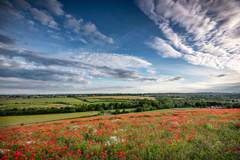 Landscapes